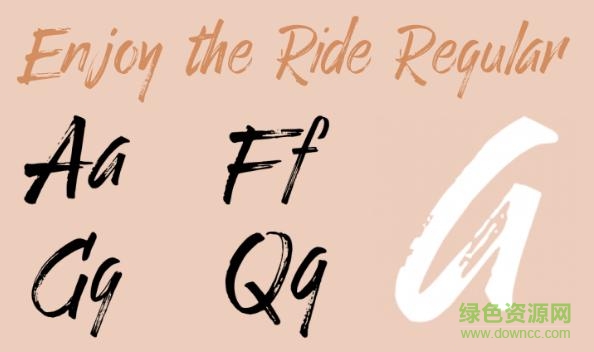 enjoytheride regular