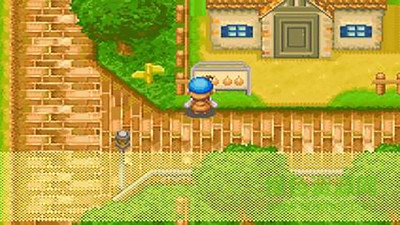 農(nóng)場(chǎng)物語礦石鎮(zhèn)