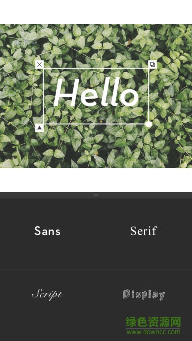 whitagram v1.0 安卓版 1