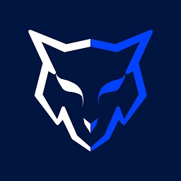 戰(zhàn)狼電競(jìng)代練