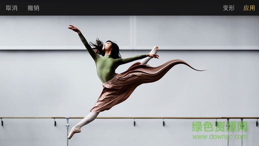 pixelmator ios中文版 v2.6.4 iphone漢化版 0