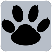 猛獸錄音(猛獸錄音軟件)