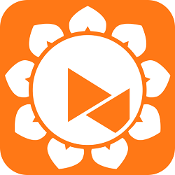 向日葵远程控制专业正式版