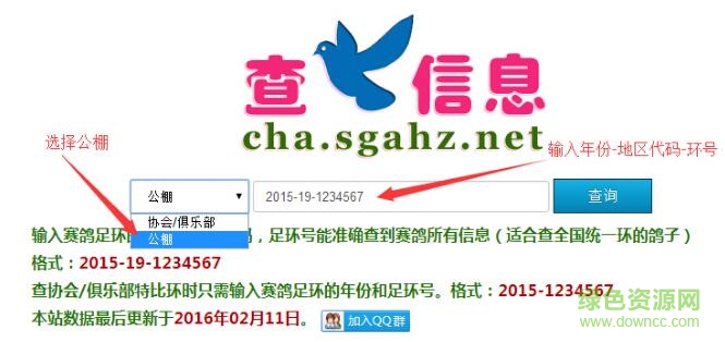 查鴿信息手機(jī)客戶端