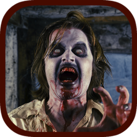 試驗(yàn)z內(nèi)購(gòu)正式版