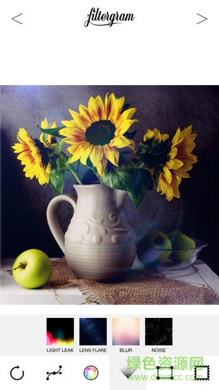 filtergram app v1.2 安卓版 3