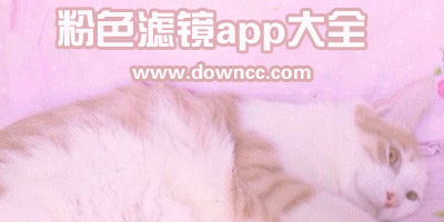 哪個(gè)軟件有粉紅色濾鏡?粉色效果的濾鏡app-粉色濾鏡的拍照軟件