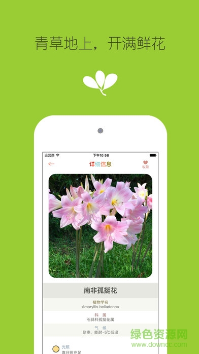 花之谷手機(jī)版 v1.0.4 安卓版 3