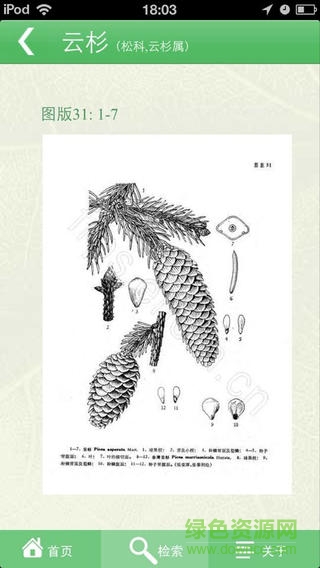 中國(guó)植物志Lite網(wǎng)絡(luò)版 v1.0.0 安卓版 2