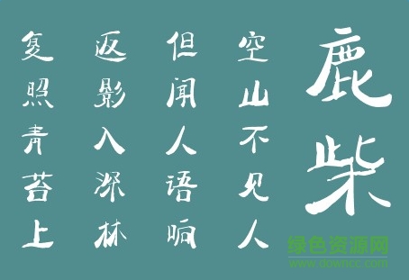 太極禪苑心源體