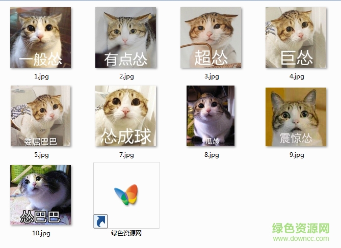 一只貓超慫的表情包  0