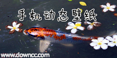 手機(jī)動(dòng)態(tài)壁紙