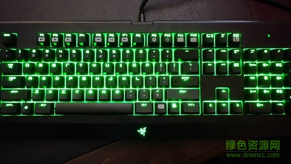 雷蛇黑寡婦鍵盤驅(qū)動for mac 雷蛇黑寡婦鍵盤驅(qū)動mac版