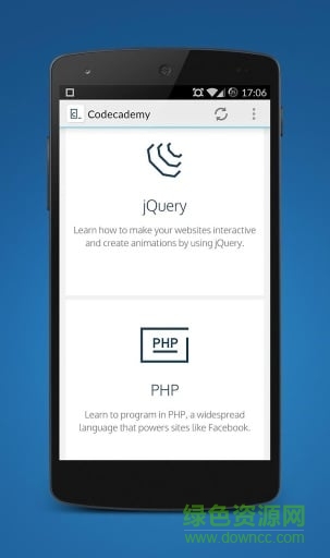 codecademy app v1.0 安卓版 2