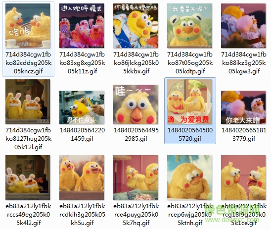 docomo鸚鵡兄弟gif表情包  0