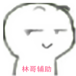 林哥英魂之刃全皮膚全圖輔助