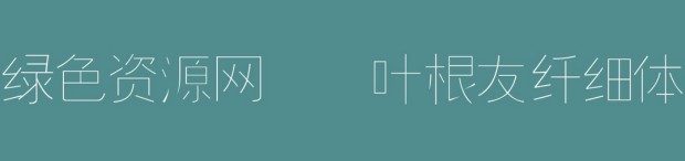 叶根友纤细体