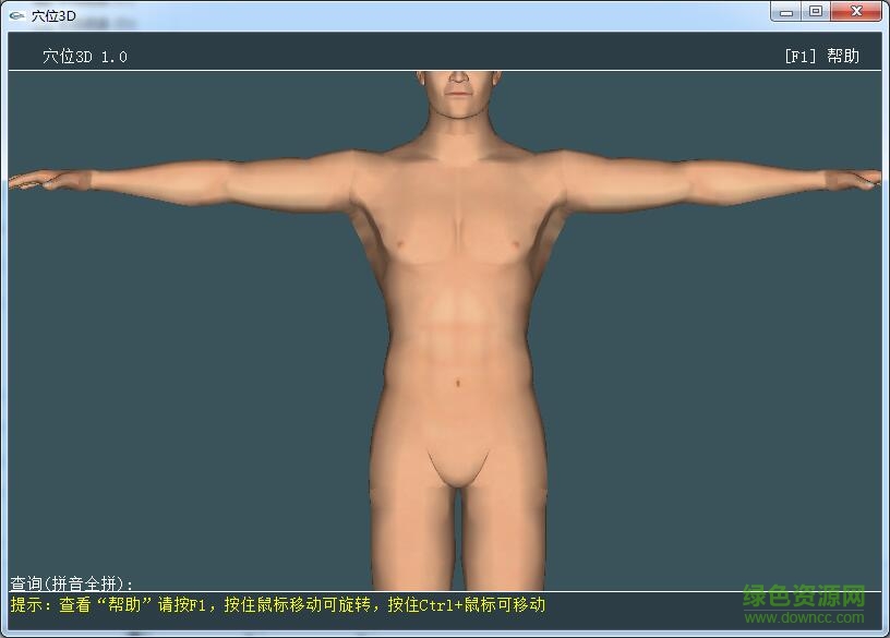 人體穴位3d軟件 人體穴位3d軟件