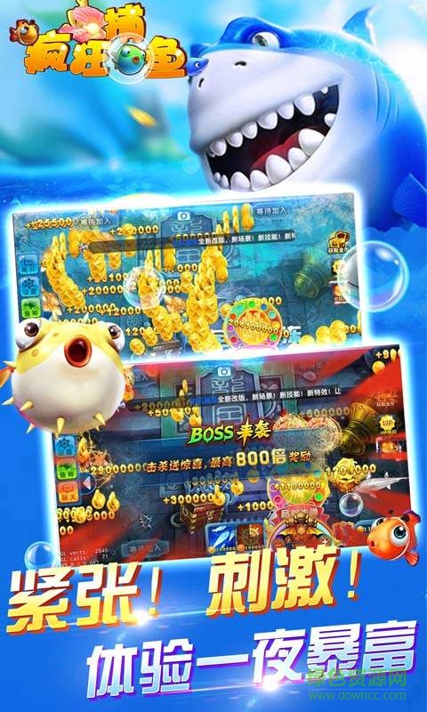 魚丸瘋狂捕魚最新手機版 v9.0.24.1.0 安卓版 0