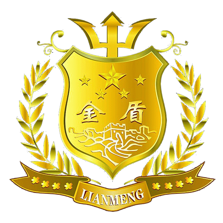 極速云金盾高防a版