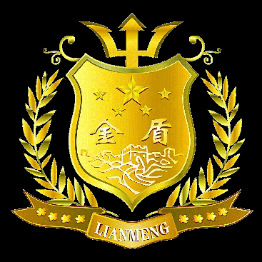 極速云金盾高防b版