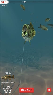 真實(shí)釣魚3D手機(jī)版 v1.4 安卓版 2