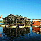 飛通漁排手機(jī)客戶端