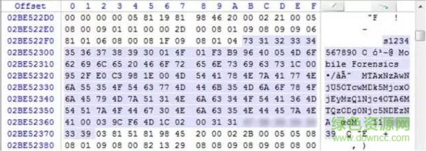 取证大师专业版