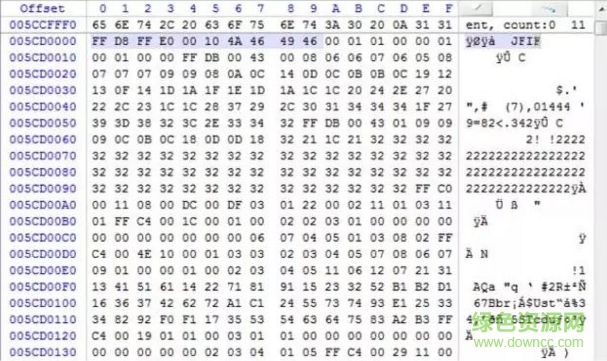 取证大师专业版