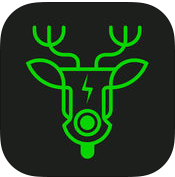 天津小鹿共享電動車