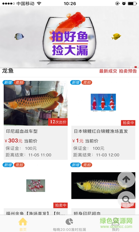 拍魚網(wǎng)客戶端