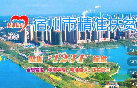 宿州市精準(zhǔn)扶貧信息管理平臺(tái) v1.2.1 安卓版 0