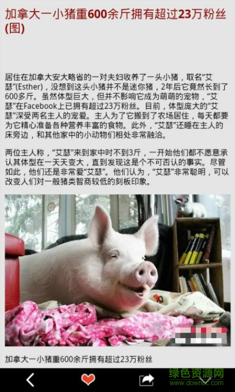 萌貓VIP(動物趣聞app) v2.0.4 安卓版 0