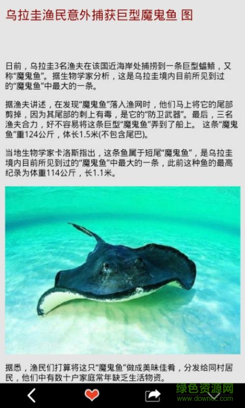 萌貓VIP(動物趣聞app) v2.0.4 安卓版 1