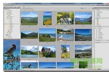 acdsee 12許可證密鑰(acdsee 12許可證代碼) v12.2綠色版 0