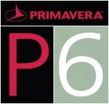 p6項目管理軟件