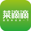 菜滴滴手機版