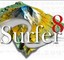 surfer11漢化正式版