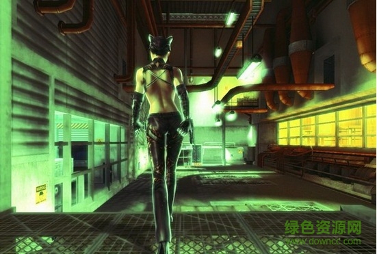 貓女單機(jī)游戲(Catwoman)  0