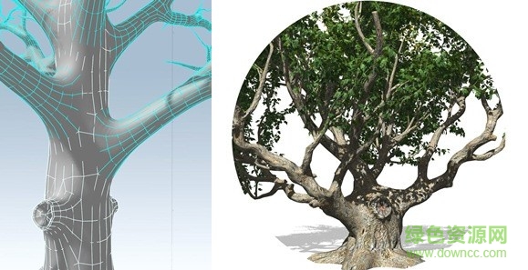 Speedtree漢化正式版