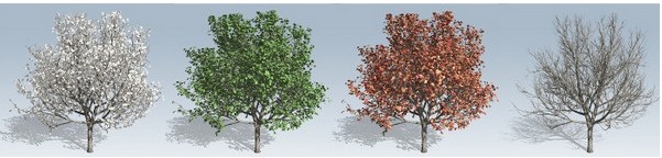 Speedtree中文正式版