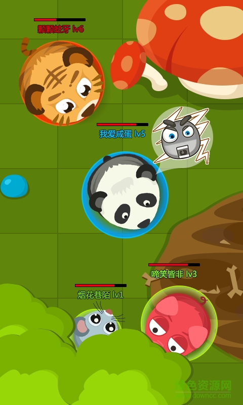 森林大作戰(zhàn)