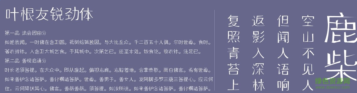 叶根友锐劲体 0