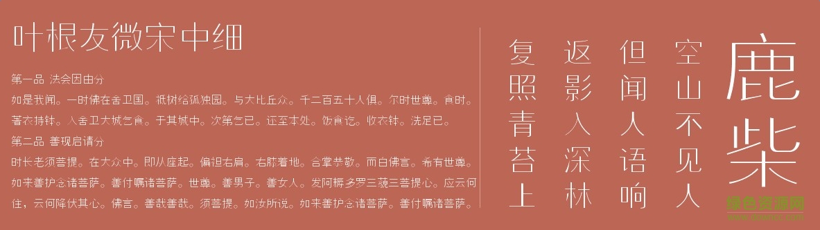 葉根友微宋中細(xì)  0