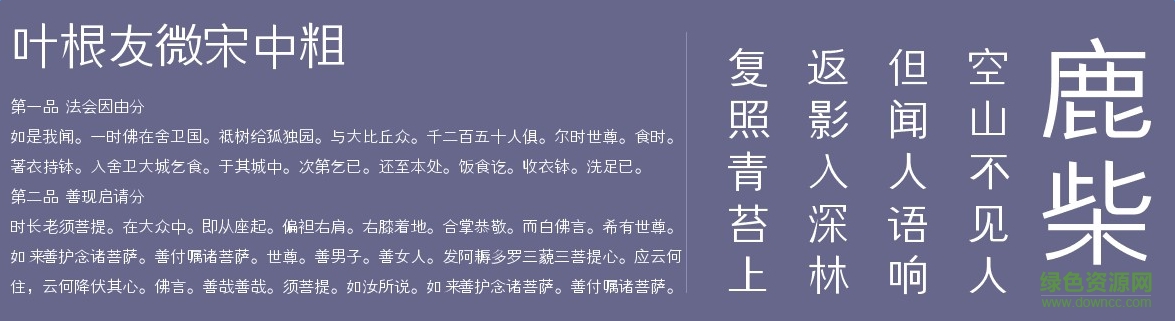 葉根友微宋中粗  0