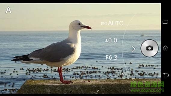 索尼a7r2軟件(PlayMemories Mobile) v5.8.0 安卓版 0