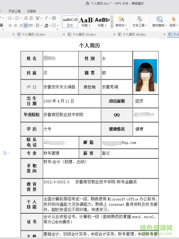 2017個(gè)人簡(jiǎn)歷模板word 完整版 4