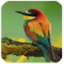 車牌號查詢手機版