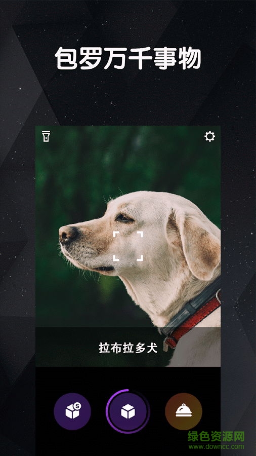 導(dǎo)盲小犬(物體識別) v1.10 安卓版 3