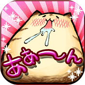 愉悅年糕貓日文版(もちとら)